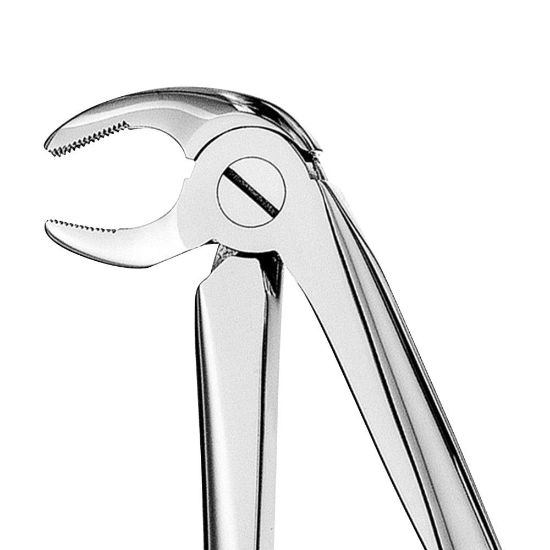 Curismart 13 Serrated Lower Premolars Extraction Forceps