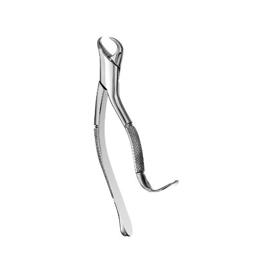 Curismart 16 Cowhorn Lower Molars Extraction Forceps
